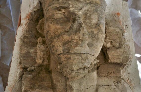 Foto tak bertanggal ini menunjukkan sisa-sisa patung Amenhotep III berbentuk sphinx yang ditemukan di Kuil Kamar Mayat Amenhotep III di Luxor, Mesir. (Xinhua/Kementerian Pariwisata dan Kepurbakalaan Mesir)