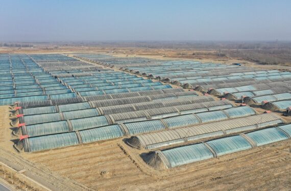 Foto dari udara yang diabadikan pada 12 Desember 2021 ini menunjukkan pemandangan kawasan industri di wilayah Shache di Kashgar, Daerah Otonom Uighur Xinjiang, China barat laut. Terletak di tepi barat daya Gurun Taklimakan, wilayah Shache membangun kawasan industri pertanian dengan memanfaatkan sumber daya matahari di tanah tandus yang luas tersebut pada 2021. (Xinhua/Ding Lei)