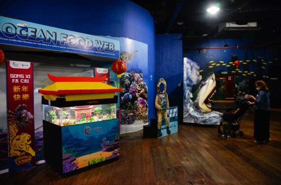 Sebuah pertunjukan tari barongsai bawah air dipentaskan di Sea World Ancol di Jakarta pada Senin (24/1), mengajak wisatawan untuk merasakan suasana Tahun Baru Imlek dari dekat. (Xinhua/Xu Qin)