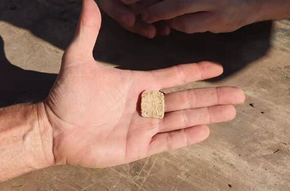 Foto tak bertanggal ini menunjukkan sebuah jimat dari timbal dengan tulisan Ibrani kuno yang ditemukan di wilayah Samaria, Tepi Barat bagian utara. (Xinhua/Dewan Regional Samaria Israel)