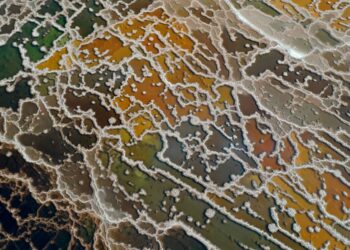 Foto dari udara yang diabadikan pada 24 Januari 2022 ini menunjukkan berbagai formasi garam di Laut Mati bagian selatan di Israel. (Xinhua/Gil Cohen Magen)