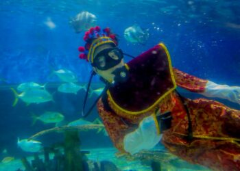 Seorang penyelam yang mengenakan kostum "Caishen" atau "Dewa Kekayaan" terlihat di dalam air saat perayaan Tahun Baru Imlek di Manila Ocean Park di Manila, Filipina, pada 30 Januari 2022. (Xinhua/Rouelle Umali)