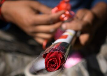 Seorang penjual bunga merangkai setangkai bunga mawar di kebunnya jelang perayaan Hari Valentine di pinggiran Agartala, ibu kota Negara Bagian Tripura, India timur laut, pada 13 Februari 2022. (Xinhua/Str)