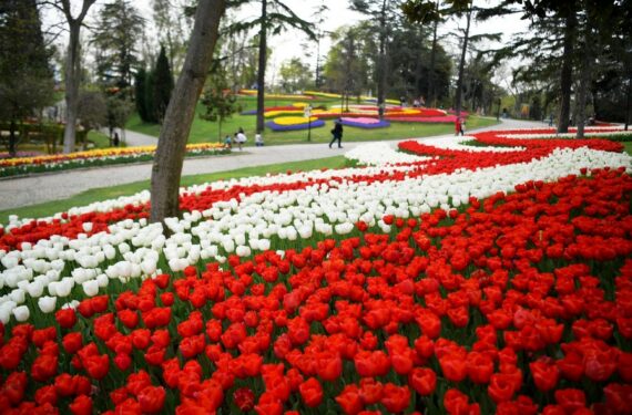 Deretan tulip yang bermekaran yang tertata dalam desain warna-warni terlihat di sebuah taman dalam Festival Tulip di Istanbul, Turki, pada 25 April 2022. (Xinhua/Shadati)