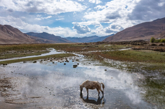 BASE CAMP GUNUNG QOMOLANGMA, Foto dari udara yang diabadikan pada 11 Mei 2022 ini menunjukkan lahan basah di Cagar Alam Nasional Qomolangma di Zhaxizom, wilayah Tingri, Daerah Otonom Tibet, China barat daya. (Xinhua/Sun Fei)