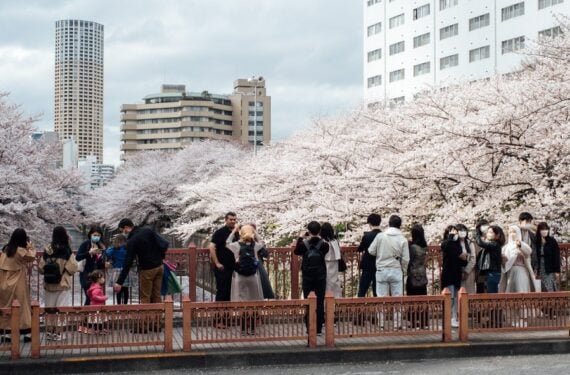 Orang-orang menikmati pemandangan bunga sakura di sepanjang Sungai Meguro di Tokyo, Jepang, pada 30 Maret 2022. (Xinhua/Zhang Xiaoyu)