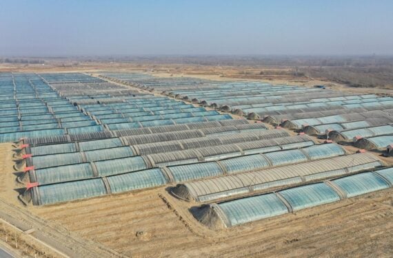 Foto dari udara yang diabadikan pada 12 Desember 2021 ini menunjukkan pemandangan kawasan industri di wilayah Shache di Kashgar, Daerah Otonom Uighur Xinjiang, China barat laut. (Xinhua/Ding Lei)