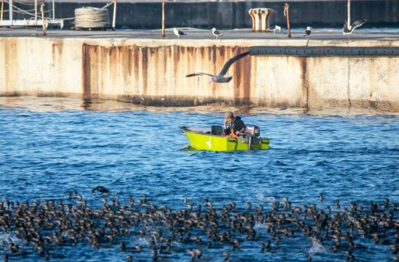 CAPE TOWN, Seorang warga memancing ikan dari atas perahu di pelabuhan Simon's Town, Cape Town, Afrika Selatan, pada 15 Juni 2022. (Xinhua/Lyu Tianran)