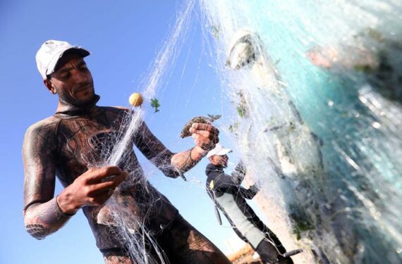 ALEXANDRIA, Seorang nelayan mengambil ikan dari jaring usai menangkap ikan di laut di dekat Alexandria, Mesir, pada 19 Juni 2022. (Xinhua/Ahmed Gomaa)