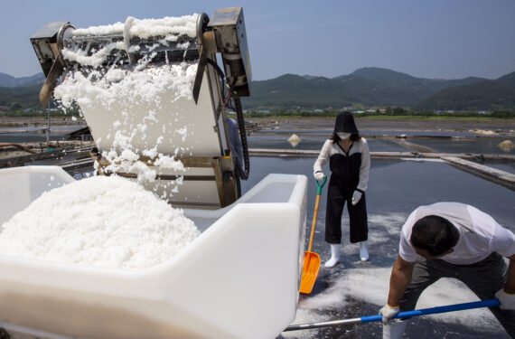 BUAN, Sejumlah orang mengisi kontainer dengan kristal-kristal garam di sebuah kolam pembuatan garam laut di wilayah Buan, Provinsi Jeolla Utara, Korea Selatan, pada 21 Juni 2022. Terletak di kawasan pesisir, petak-petak kolam garam di wilayah tersebut masih mempertahankan praktik pembuatan garam tradisional. (Xinhua/Wang Yiliang)
