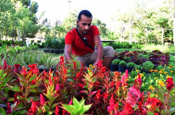 DAMASKUS, Seorang petani menata bunga-bunga dalam pot di sebuah pameran bunga yang diadakan di Damaskus, Suriah, pada 22 Juni 2022. (Xinhua/Ammar Safarjalani)