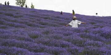 HUOCHENG, Wisatawan berfoto di ladang lavender di Desa Sigong, wilayah Huocheng di Daerah Otonom Uighur Xinjiang, China barat laut, pada 19 Juni 2022. Desa Sigong telah menanam 12.000 mu (sekitar 800 hektare) lavender. Basis penanaman lavender di sini telah mempromosikan pariwisata lokal dan industri pengolahan lavender. Pada 2021, pendapatan per kapita di Desa Sigong mencapai 25.000 yuan (1 yuan = Rp2.209). (Xinhua/Zhao Ge)