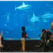 SINGAPURA - Sejumlah anak melihat ikan hiu di akuarium dalam acara Ocean Fest di S.E.A. Aquarium di Singapura pada 3 Juni 2022. (Xinhua/Then Chih Wey)