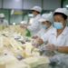 SUIYANG, Sejumlah pekerja mengemas produk teh yang terbuat dari honeysuckle di sebuah pabrik di wilayah Suiyang, Provinsi Guizhou, China barat daya, pada 1 Juli 2022. Pemerintah setempat telah berupaya mengembangkan industri terkait honeysuckle, yang baru-baru ini memasuki musim panen. (Xinhua/Yang Ying)