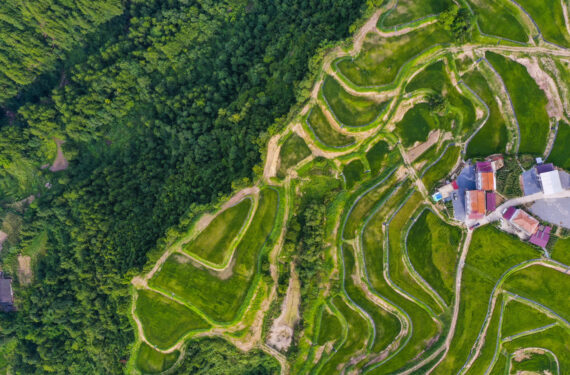 CHONGQING, Foto dari udara yang diabadikan pada 2 Agustus 2022 ini memperlihatkan pemandangan Desa Bayi di Distrik Wanzhou, Chongqing, China barat daya. (Xinhua/Wang Quanchao)