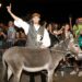TRIBUNJ, Josip Jelic berpose bersama keledainya Raul setelah menjuarai Balap Keledai Tribunj Tradisional ke-55 di Tribunj, Kroasia, pada 1 Agustus 2022. (Xinhua/PIXSELL/Dusko Jaramaz)