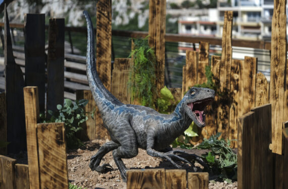 MELLIEHA, Foto yang diabadikan pada 9 Agustus 2022 ini menunjukkan model dinosaurus dari film aksi fiksi ilmiah Jurassic World di Mellieha, Malta. (Xinhua/Jonathan Borg)