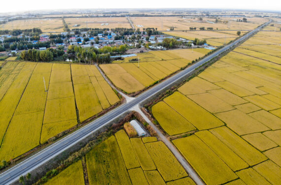 QIQIHAR, Foto dari udara yang diabadikan pada 15 September 2022 ini menunjukkan lahan persawahan di wilayah Gannan di Qiqihar, Provinsi Heilongjiang, China timur laut. (Xinhua/Wang Song)