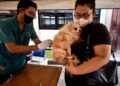JAKARTA, Seorang dokter hewan memberikan satu dosis vaksin rabies pada seekor anjing di Jakarta pada 28 September 2022. Hari Rabies Sedunia diperingati setiap tahun untuk meningkatkan kesadaran pencegahan rabies dan menyoroti kemajuan dalam membasmi penyakit tersebut. (Xinhua/Agung Kuncahya B.)