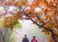 BEIJING, Orang-orang mengunjungi Cagar Alam Nasional Baihuashan di Beijing, ibu kota China, pada 2 Oktober 2022. (Xinhua/Peng Ziyang)