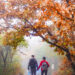 BEIJING, Orang-orang mengunjungi Cagar Alam Nasional Baihuashan di Beijing, ibu kota China, pada 2 Oktober 2022. (Xinhua/Peng Ziyang)