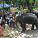 DHAKA, Sejumlah pengunjung berinteraksi dengan gajah di Kebun Binatang Nasional Bangladesh di Dhaka, Bangladesh, pada 4 Oktober 2022, bertepatan dengan Hari Hewan Sedunia. (Xinhua)