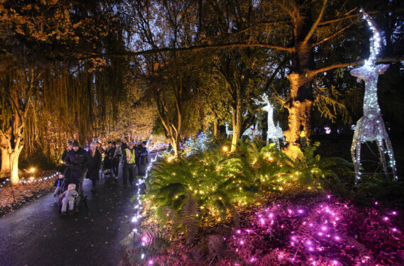 VANCOUVER, Orang-orang mengamati berbagai dekorasi cahaya di VanDusen Botanical Garden yang berada di Vancouver, British Columbia, Kanada, pada 25 November 2022. Menampilkan lebih dari satu juta lampu di kebun raya seluas 6,07 hektare itu, "Festival Cahaya" dimulai di Vancouver pada Jumat (25/11). (Xinhua/Liang Sen)