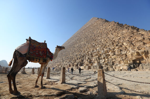 KAIRO, Foto berikut ini menunjukkan seekor unta tunggangan wisatawan di objek wisata Piramida Giza di Giza, Mesir, pada 18 Januari 2023. Mesir menyambut dengan hangat kunjungan warga China sesegera mungkin, demikian dikatakan Presiden Mesir Abdel-Fattah al-Sisi di ibu kota negara itu, Kairo. (Xinhua/Sui Xiankai)