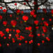 MANCHESTER, Lampion-lampion merah tradisional China untuk merayakan Tahun Baru Imlek mendatang terlihat di pusat kota Manchester, Inggris, pada 18 Januari 2023. (Xinhua/Jon Super)