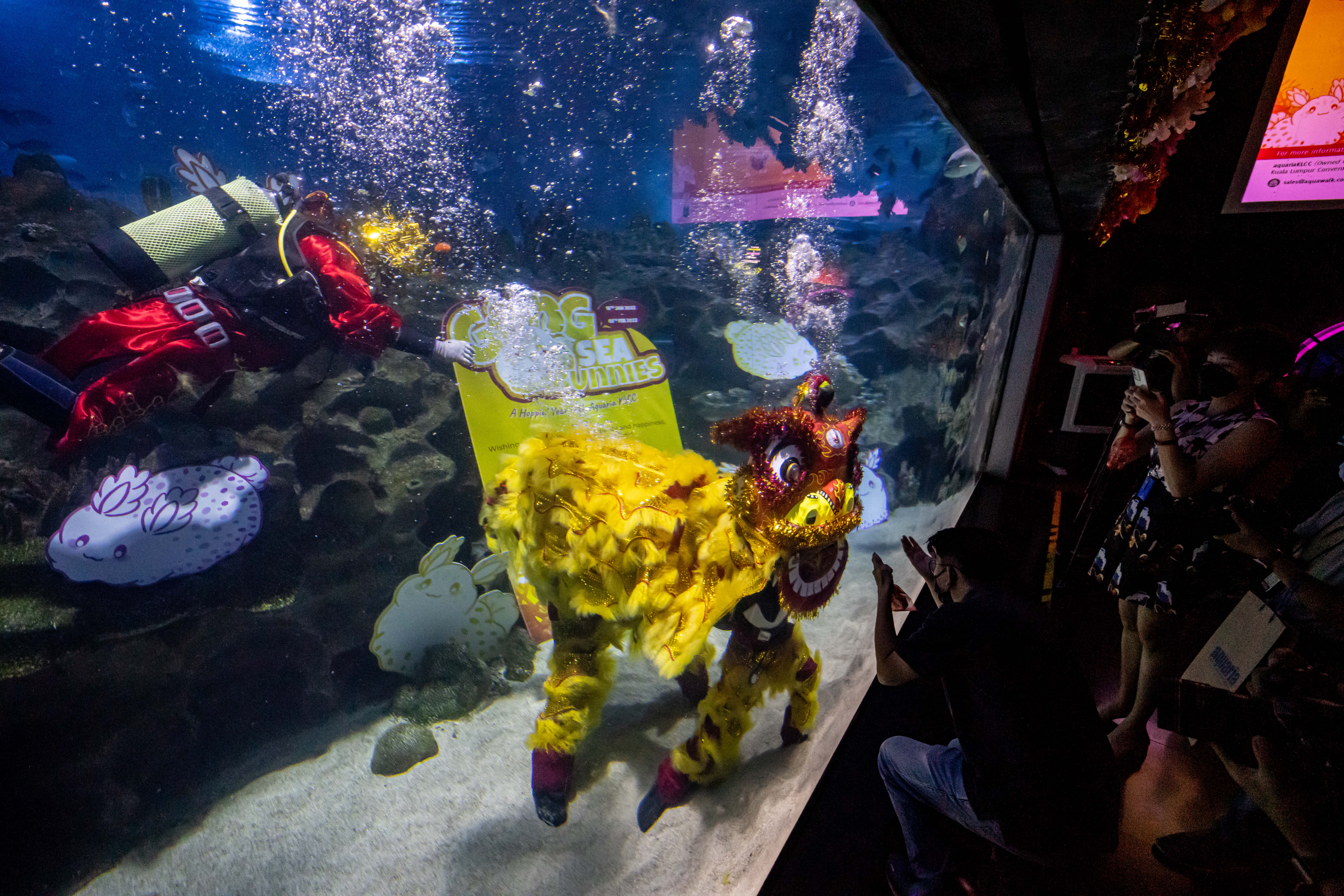 KUALA LUMPUR, Sejumlah pengunjung memotret para penyelam yang mengenakan kostum singa dan Dewa Keberuntungan dalam sebuah pertunjukan bawah air untuk merayakan Tahun Baru Imlek di Aquaria KLCC di Kuala Lumpur, Malaysia, pada 18 Januari 2023. (Xinhua/Zhu Wei)