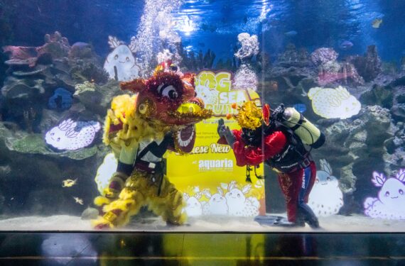 KUALA LUMPUR, Para penyelam yang mengenakan kostum singa dan Dewa Keberuntungan menggelar pertunjukan bawah air untuk merayakan Tahun Baru Imlek di Aquaria KLCC di Kuala Lumpur, Malaysia, pada 18 Januari 2023. (Xinhua/Zhu Wei)