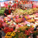 SHENYANG, Orang-orang memilih bunga jelang Festival Musim Semi di sebuah pasar bunga di Shenyang, Provinsi Liaoning, China timur laut, pada 18 Januari 2023. Festival Musim Semi atau Tahun Baru Imlek tahun ini jatuh pada 22 Januari. (Xinhua/Yao Jianfeng)