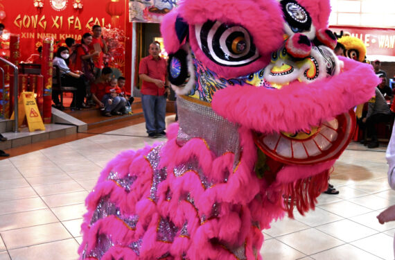 JAKARTA, Seorang penampil barongsai ikut berpartisipasi dalam sebuah acara untuk merayakan Tahun Baru Imlek di klenteng Kwan In Tang di Pondok Cabe, Tangerang Selatan, pada 21 Januari 2023. (Xinhua/Agung Kuncahya B.)