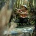 SLEMAN, Seorang petani memetik salak di perkebunan salak Turi yang terletak di bawah lereng Gunung Merapi di Kabupaten Sleman, Daerah Istimewa Yogyakarta, pada 21 Februari 2023. (Xinhua/Agung Supriyanto)