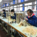 XUCHANG, Para pekerja membuat wig di sebuah pabrik milik Henan Rebecca Hair Products Co., Ltd. di Kota Xuchang, Provinsi Henan, China tengah, pada 16 Maret 2023. Industri wig Xuchang telah menjadi basis manufaktur dan pusat distribusi wig yang besar untuk dalam negeri China dan luar negeri. Produk-produk wig Xuchang dijual ke lebih dari 150 negara dan kawasan melalui platform e-commerce. (Xinhua/Li Jianan)