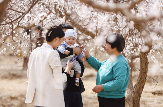 TURPAN, Sebuah keluarga mengunjungi festival bunga aprikot di wilayah Toksun, Turpan, Daerah Otonom Uighur Xinjiang, China barat laut, pada 18 Maret 2023. Festival bunga aprikot Turpan dimulai di Turpan pada Sabtu (18/3). (Xinhua/Hao Zhao)