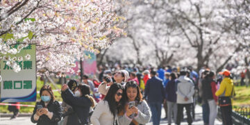 BEIJING, Para wisatawan menikmati pemandangan bunga sakura yang bermekaran di Taman Yuyuantan di Beijing, ibu kota China, pada 27 Maret 2023. (Xinhua/Chen Yehua)