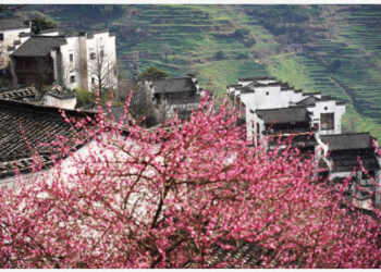 SHANGRAO, China, 4 Maret, 2023 (Xinhua) -- Foto yang diabadikan pada 2 Maret 2023 ini menunjukkan pemandangan objek wisata Huangling di wilayah Wuyuan, Provinsi Jiangxi, China timur. Pemandangan musim semi di Wuyuan menarik banyak pengunjung seiring dengan meningkatnya suhu. (Xinhua/Wan Xiang)