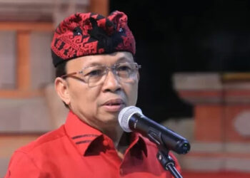 Gubernur Bali Wayan Koster. /ist