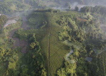 CIANTEN, Foto dari udara yang diabadikan pada 29 Mei 2023 ini memperlihatkan pemandangan hutan dan perkebunan teh di Cianten, Kabupaten Bogor, Provinsi Jawa Barat. (Xinhua/Veri Sanovri)